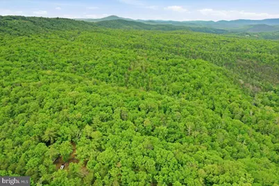 40.4 Ac Dave Moreland Rd, Slanesville, WV 25444 - Photo 39