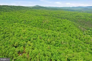 40 4 Ac Dave Moreland Rd, Slanesville, WV 25444 - Photo 39