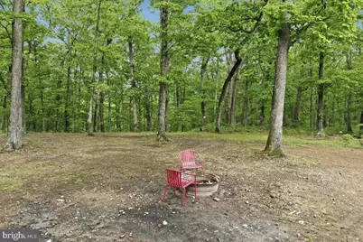 40.4 Ac Dave Moreland Rd, Slanesville, WV 25444 - Photo 7