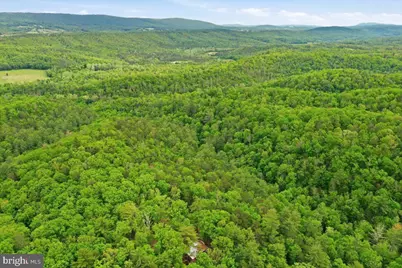 40.4 Ac Dave Moreland Rd, Slanesville, WV 25444 - Photo 35