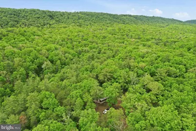 40.4 Ac Dave Moreland Rd, Slanesville, WV 25444 - Photo 43