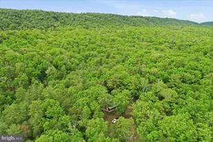 40 4 Ac Dave Moreland Rd, Slanesville, WV 25444 - Photo 43
