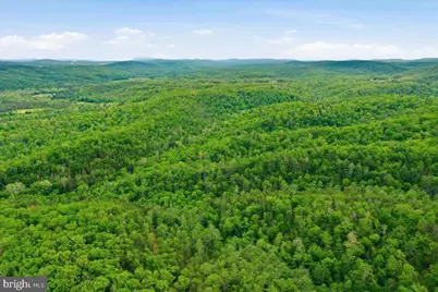 40.4 Ac Dave Moreland Rd, Slanesville, WV 25444 - Photo 33