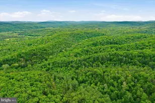 40 4 Ac Dave Moreland Rd, Slanesville, WV 25444 - Photo 33