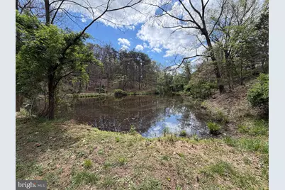 453 Wheaton Drive, Purgitsville, WV 26852 - Photo 89