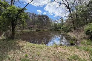 453 Wheaton Dr, Purgitsville, WV 26852 - Photo 89