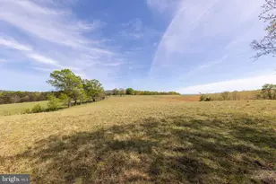 453 Wheaton Dr, Purgitsville, WV 26852 - Photo 81