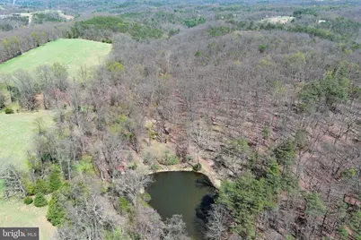 453 Wheaton Drive, Purgitsville, WV 26852 - Photo 133