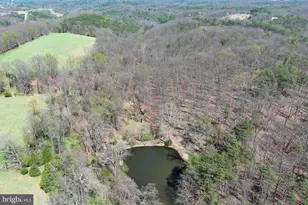 453 Wheaton Dr, Purgitsville, WV 26852 - Photo 133