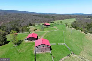453 Wheaton Dr, Purgitsville, WV 26852 - Photo 103