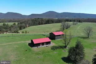 453 Wheaton Dr, Purgitsville, WV 26852 - Photo 95