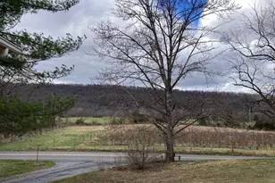 2879 Christian Church Rd, High View, WV 26808 - Photo 69