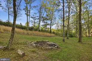 330 Sideling Mtn Dr, Slanesville, WV 25444 - Photo 85
