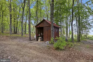 330 Sideling Mtn Dr, Slanesville, WV 25444 - Photo 87