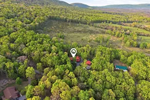 330 Sideling Mtn Dr, Slanesville, WV 25444 - Photo 97