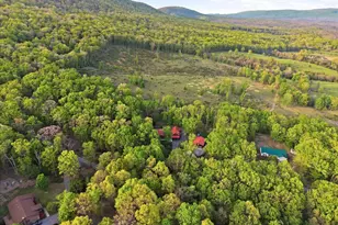 330 Sideling Mtn Dr, Slanesville, WV 25444 - Photo 95