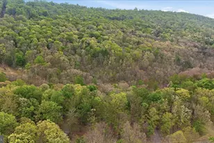 355 Hemlock Ct, Paw Paw, WV 25434 - Photo 51