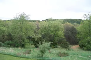 168 Stoney Apple Dr, Romney, WV 26757 - Photo 9