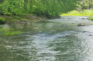 154-158 Journeys End Ln, Augusta, WV 26704 - Photo 23