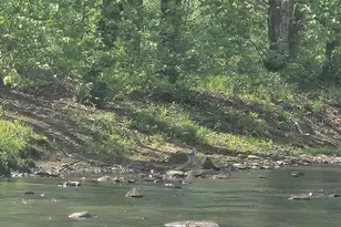 154-158 Journeys End Ln, Augusta, WV 26704 - Photo 35