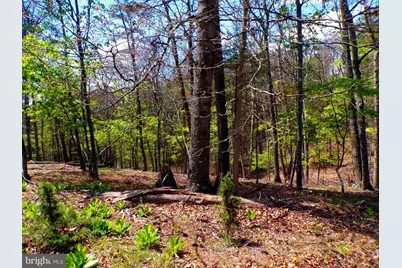 Lot 120 Crossings View Road, Paw Paw, WV 25434 - Photo 5