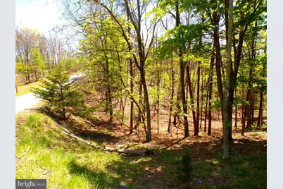Lot 120 Crossings View Road, Paw Paw, WV 25434 - Photo 3