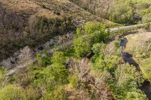9897 Carpers Pike, Yellow Spring, WV 26865 - Photo 41