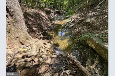 6.56 Ac Residue Hamilton Estates, Romney, WV 26757 - Photo 25