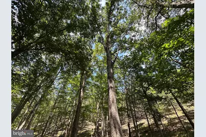 6.56 Ac Residue Hamilton Estates, Romney, WV 26757 - Photo 21