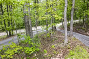 2614 Lake Ferndale Dr, Springfield, WV 26763 - Photo 33