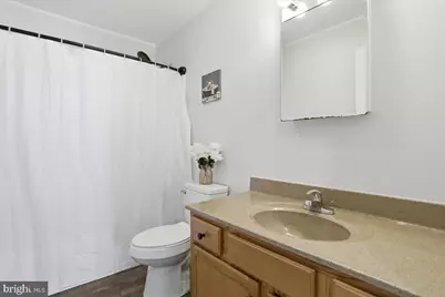 10815 Delray Road, Delray, WV 26714 - Photo 15