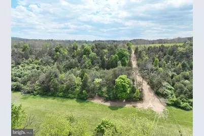 8.25 Ac Walnut Tree Lane, Paw Paw, WV 25434 - Photo 37