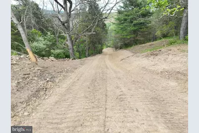 8.25 Ac Walnut Tree Lane, Paw Paw, WV 25434 - Photo 27