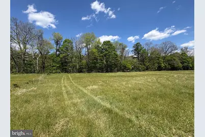 8.25 Ac Walnut Tree Lane, Paw Paw, WV 25434 - Photo 19
