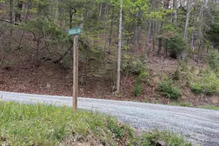 2865 Capon Springs Rd, High View, WV 26808 - Photo 31