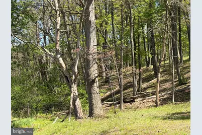 2894 Old Jersey Mountain Road, Romney, WV 26757 - Photo 81