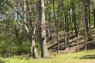 2894 Old Jersey Mountain Rd, Romney, WV 26757 - Photo 81