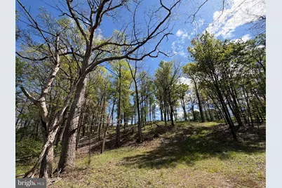 2894 Old Jersey Mountain Road, Romney, WV 26757 - Photo 83