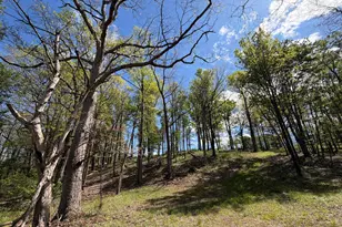 2894 Old Jersey Mountain Rd, Romney, WV 26757 - Photo 83
