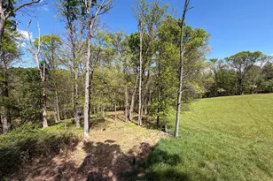 2894 Old Jersey Mountain Rd, Romney, WV 26757 - Photo 69
