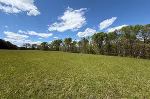 2894 Old Jersey Mountain Rd, Romney, WV 26757 - Photo 63