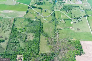 2894 Old Jersey Mountain Rd, Romney, WV 26757 - Photo 119