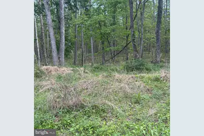 11 Haines Drive, Capon Bridge, WV 26711 - Photo 3