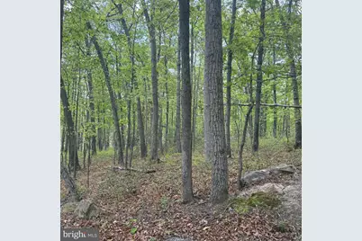 11 Haines Drive, Capon Bridge, WV 26711 - Photo 7