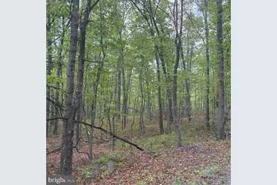 11 Haines Drive, Capon Bridge, WV 26711 - Photo 5