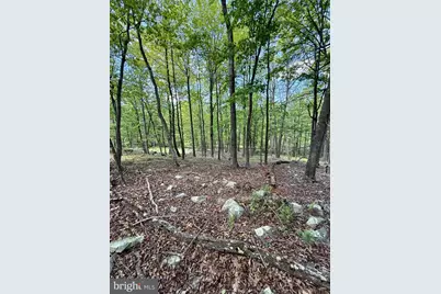 Lot(S) 113 and 115 River Ridge Sd, Yellow Spring, WV 26865 - Photo 19