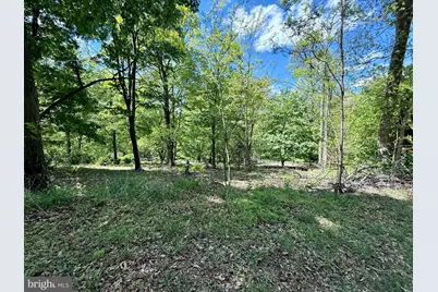 Lot(S) 113 and 115 River Ridge Sd, Yellow Spring, WV 26865 - Photo 21