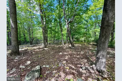 Lot(S) 113 and 115 River Ridge Sd, Yellow Spring, WV 26865 - Photo 15
