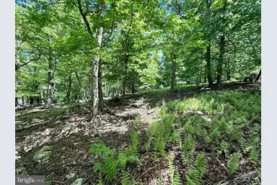 Lot(S) 113 and 115 River Ridge Sd, Yellow Spring, WV 26865 - Photo 17