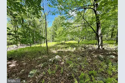 Lot(S) 113 and 115 River Ridge Sd, Yellow Spring, WV 26865 - Photo 11